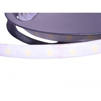 Светодиодная лента 5050/60 (IP65) standart матовый силикон
